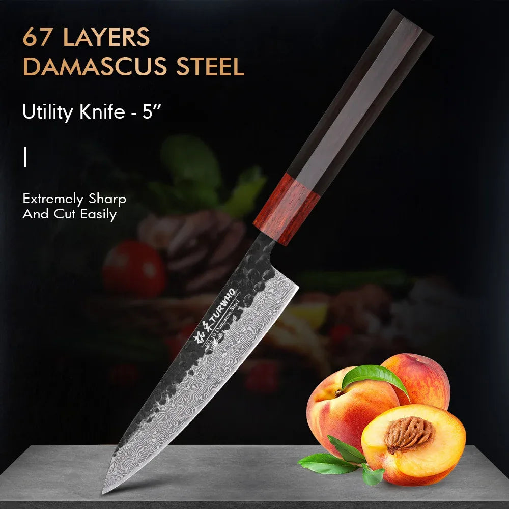 Damascus Steel VG10 Chef's Knife